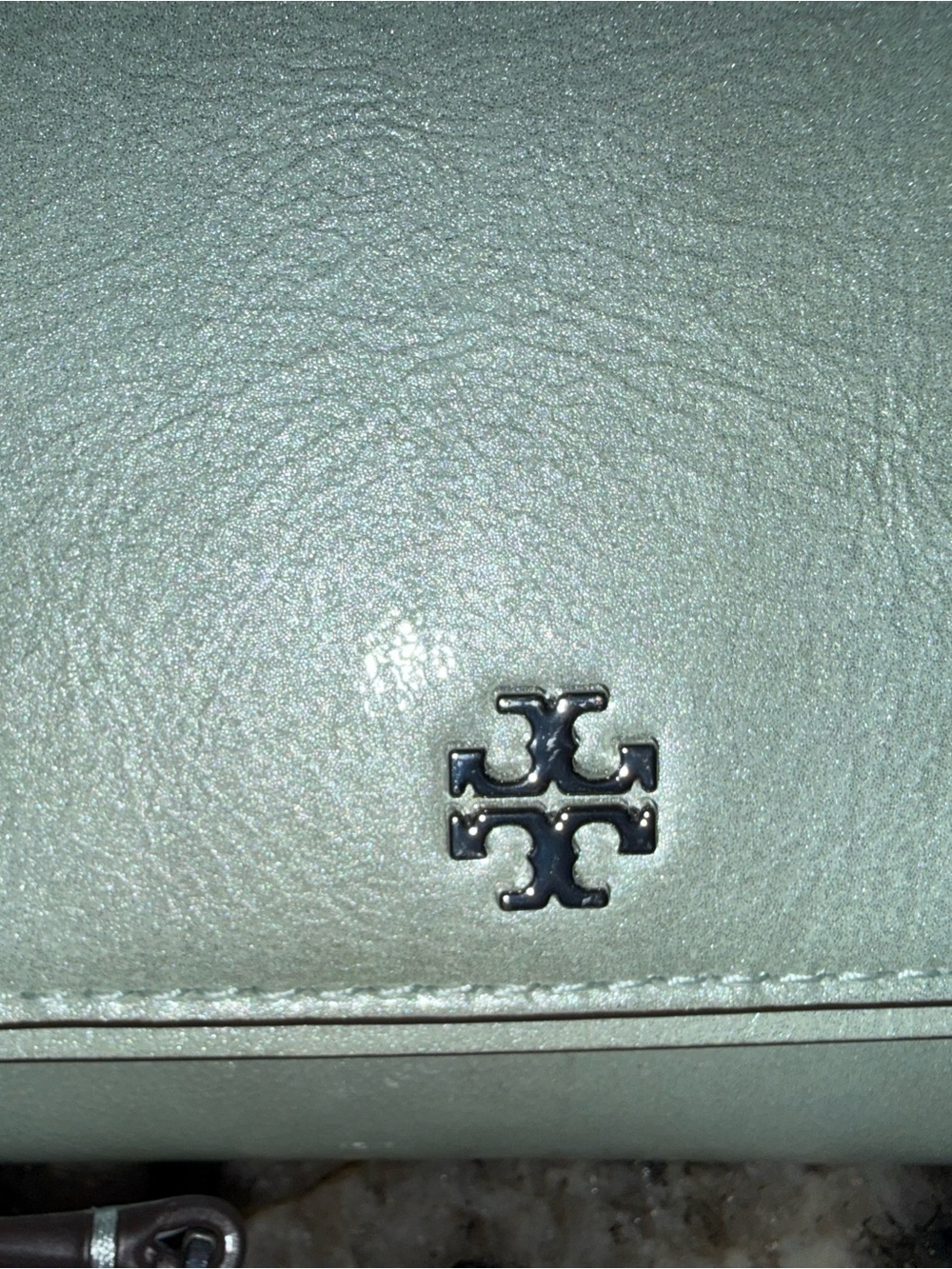Tory Burch Mint Green Leather purse with Silver Logo